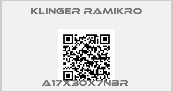 Klinger Ramikro-A17X30X7NBR 