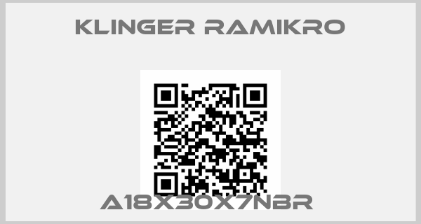Klinger Ramikro-A18X30X7NBR 