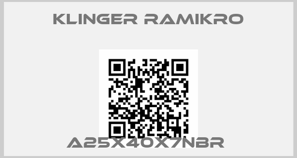 Klinger Ramikro-A25X40X7NBR 