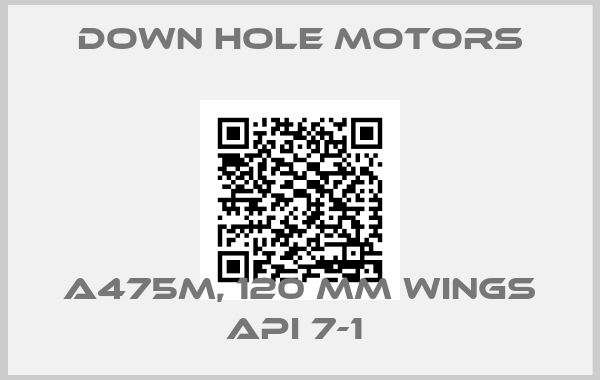Down Hole Motors-A475M, 120 MM WINGS API 7-1 