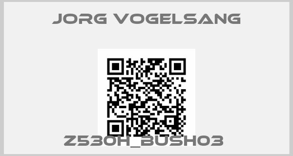 JORG VOGELSANG-Z530H_BUSH03 