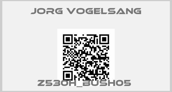 JORG VOGELSANG-Z530H_BUSH05 