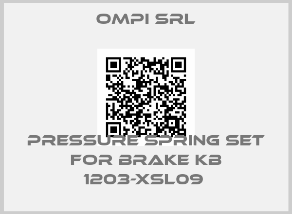 Ompi Srl-PRESSURE SPRING SET FOR BRAKE KB 1203-XSL09 