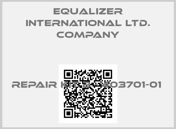 Equalizer International Ltd. Company-REPAIR KIT 2 - 403701-01 