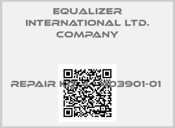 Equalizer International Ltd. Company-REPAIR KIT 4 - 403901-01 