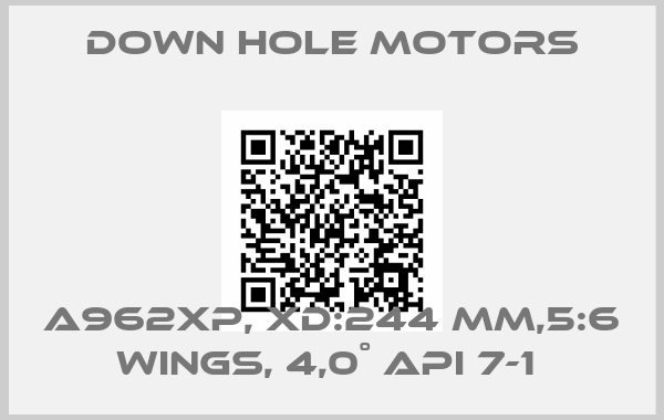 Down Hole Motors-A962XP, XD:244 MM,5:6 WINGS, 4,0˚ API 7-1 