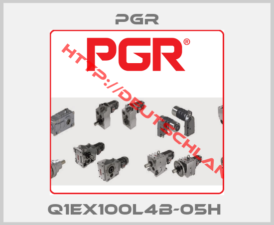 Pgr-Q1EX100L4B-05H 