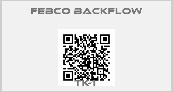 FEBCO Backflow-TK-1 