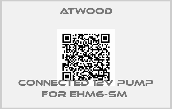 Atwood-Connected 12V pump for EHM6-SM 