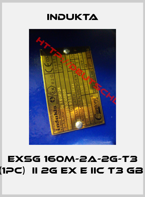 Indukta-ExSg 160M-2A-2G-T3 (1pc)  II 2G Ex e IIC T3 Gb 