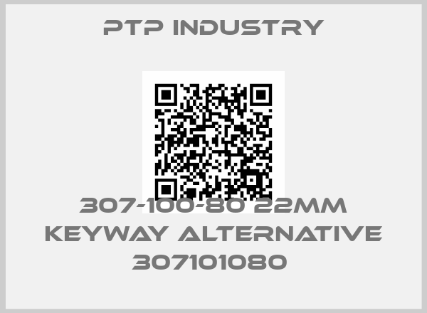 PTP Industry-307-100-80 22mm keyway alternative 307101080 