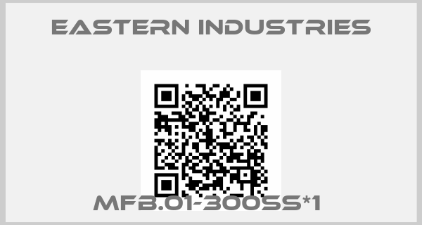 Eastern Industries-MFB.01-300SS*1 