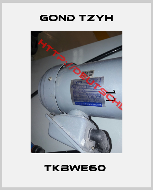 GOND TZYH-TKBWE60 