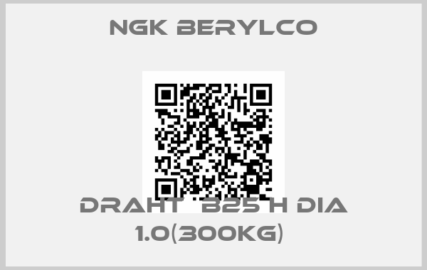 NGK Berylco-Draht  B25 H dia 1.0(300kg) 