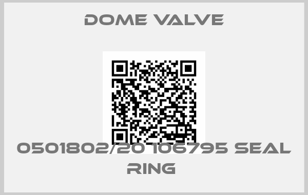 Dome Valve-0501802/20 106795 SEAL RING 