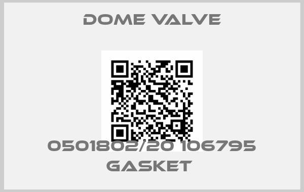 Dome Valve-0501802/20 106795 GASKET 