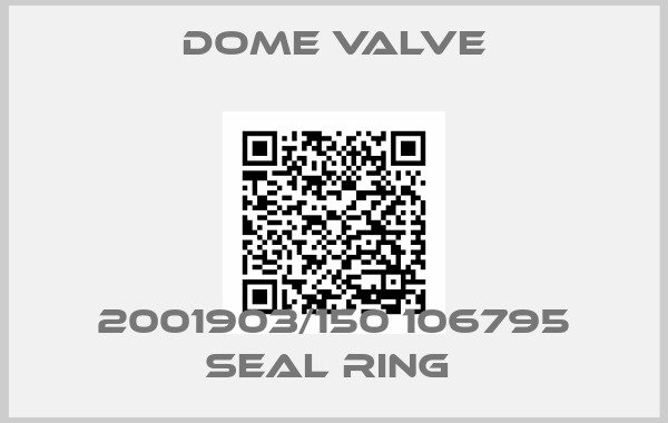 Dome Valve-2001903/150 106795 SEAL RING 