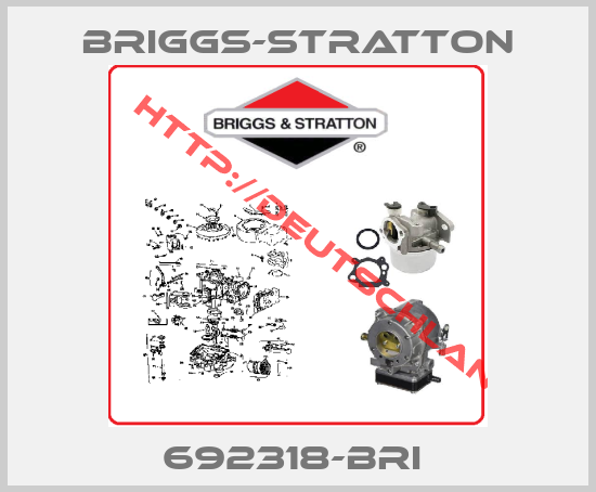 Briggs-Stratton-692318-BRI 