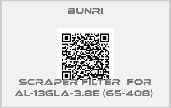 BUNRI-scraper filter  for AL-13GLA-3.8E (65-408) 