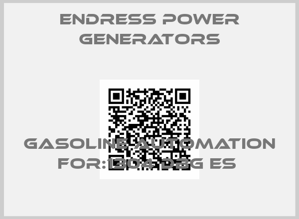 Endress Power Generators-Gasoline Automation For:1304 DBG ES 