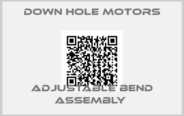Down Hole Motors-ADJUSTABLE BEND ASSEMBLY 