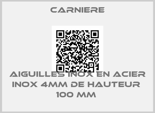 Carniere-AIGUILLES INOX EN ACIER INOX 4MM DE HAUTEUR  100 MM 