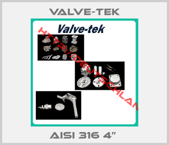 Valve-tek-AISI 316 4” 