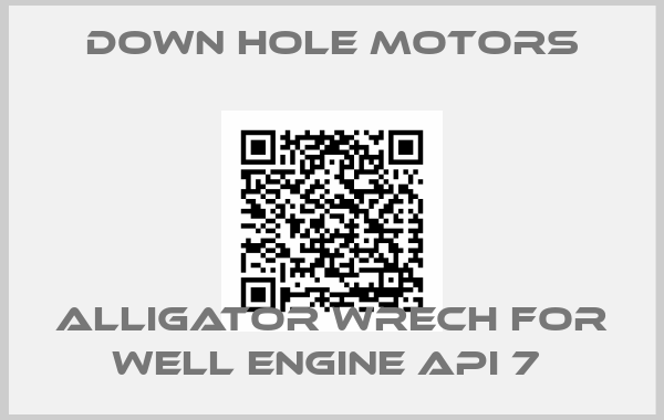 Down Hole Motors-ALLIGATOR WRECH FOR WELL ENGINE API 7 
