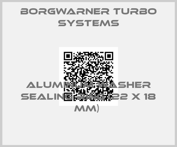 Borgwarner turbo systems-Aluminum Washer Sealing Ring (22 X 18 mm) 