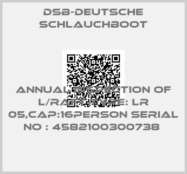 DSB-Deutsche Schlauchboot-ANNUAL INSPECTION OF L/RAFT TYPE: LR 05,CAP:16PERSON SERIAL NO : 4582100300738 