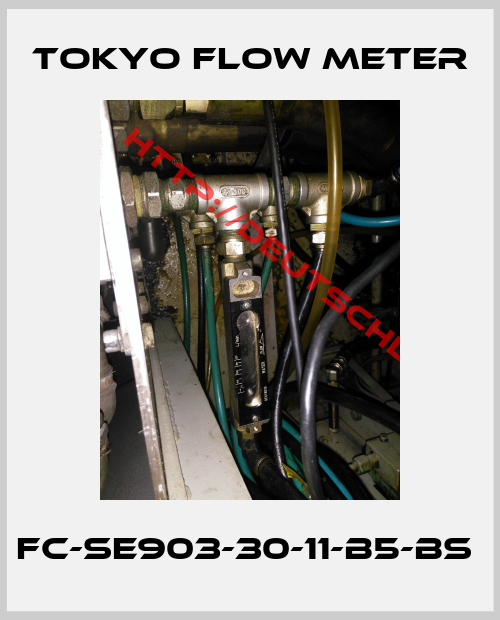 Tokyo Flow Meter-FC-SE903-30-11-B5-BS 