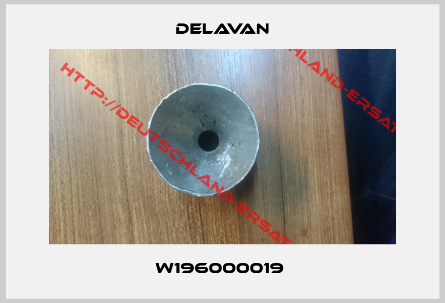 Delavan-W196000019 