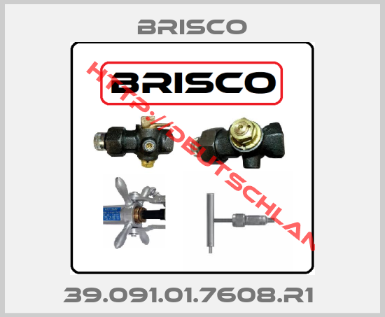 BRISCO-39.091.01.7608.R1 
