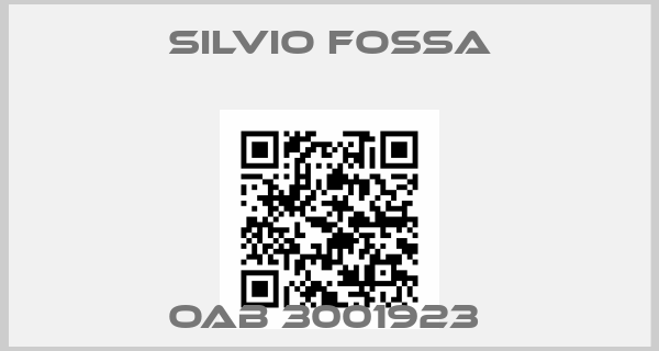 Silvio FOSSA-OAB 3001923 
