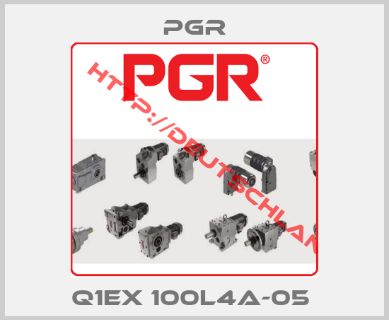 Pgr-Q1EX 100L4A-05 