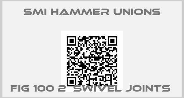 SMI Hammer unions-FIG 100 2  swivel joints 