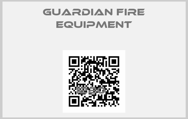 Guardian Fire Equipment-1220  