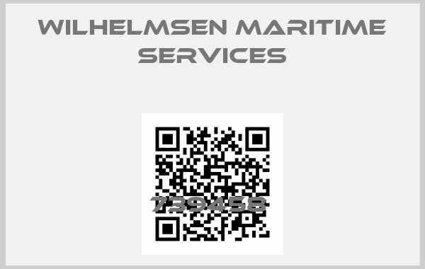 Wilhelmsen Maritime Services-739458 