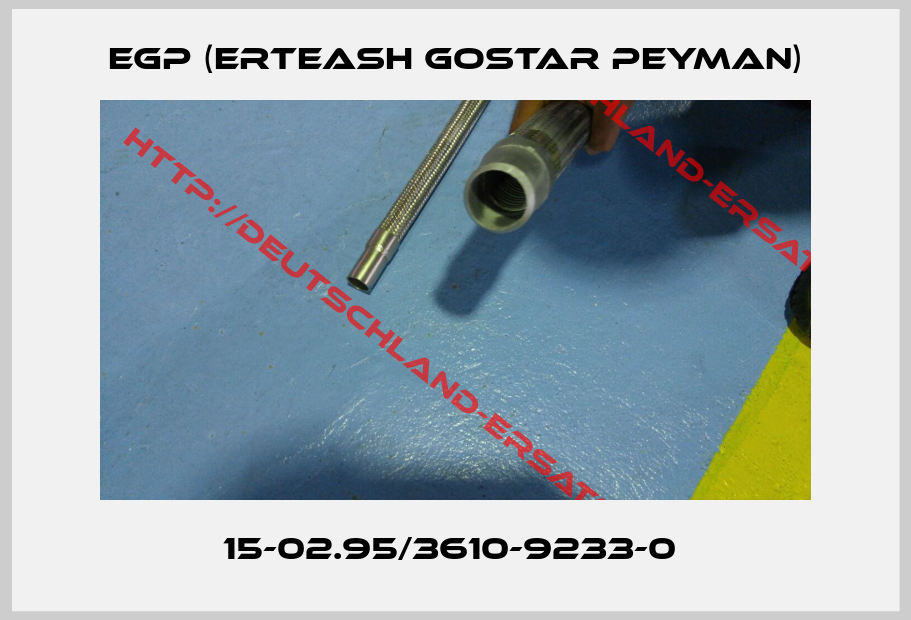 EGP (ERTEASH GOSTAR PEYMAN)-15-02.95/3610-9233-0 