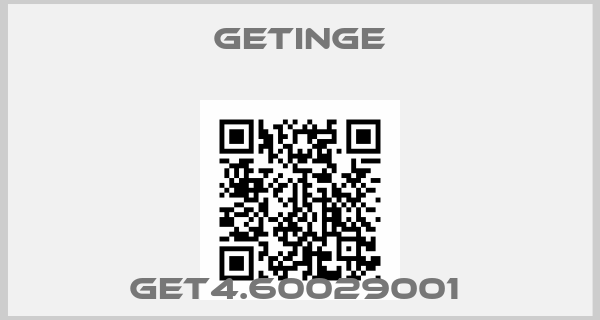 Getinge-GET4.60029001 