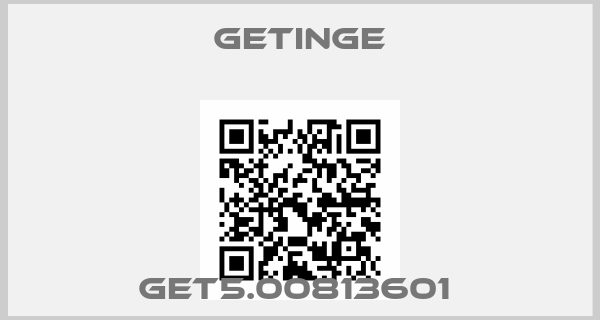 Getinge-GET5.00813601 