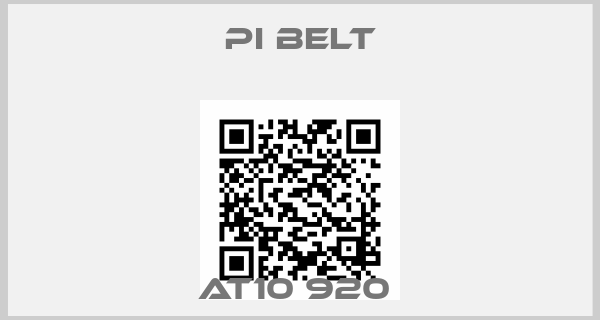 Pi Belt-AT10 920 