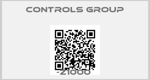 CONTROLS GROUP--Z1000 
