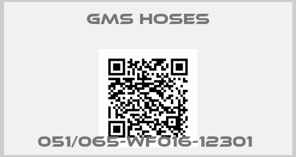 GMS hoses-051/065-WF016-12301 