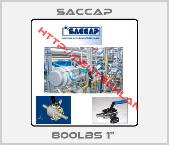Saccap-800LBS 1" 