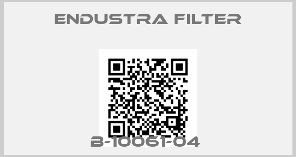 Endustra Filter-B-10061-04 