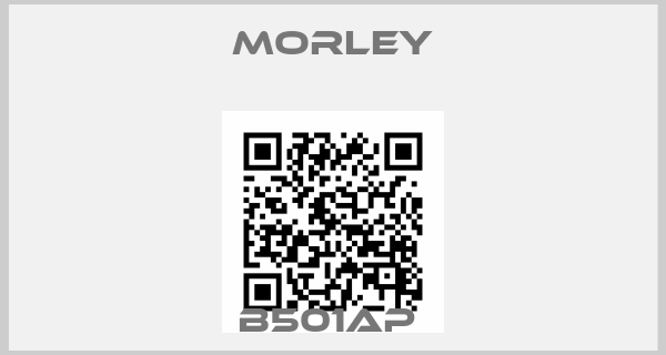 MORLEY-B501AP 