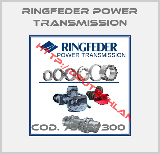 RINGFEDER POWER TRANSMISSION-cod. 75257300 