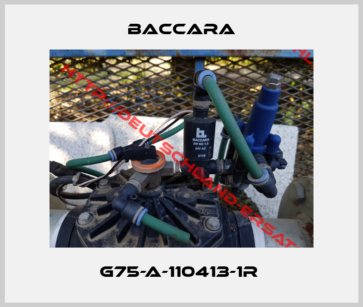 Baccara-G75-A-110413-1R 