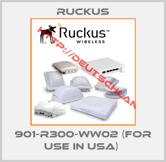 Ruckus-901-R300-WW02 (for use in USA) 